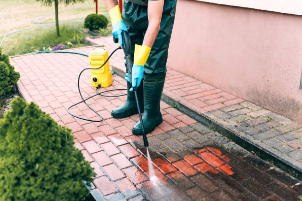 Best Driveway Pressure Washing  in Yelm, WA